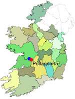 Pollagoona, Slieve Aughty, Co. Clare, an Irish Bog Restoration Project Site in Ireland